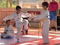 20150628_11-006-EXHIBICIO DE TAEKWONDO