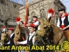 2014-sant-antoni-abad